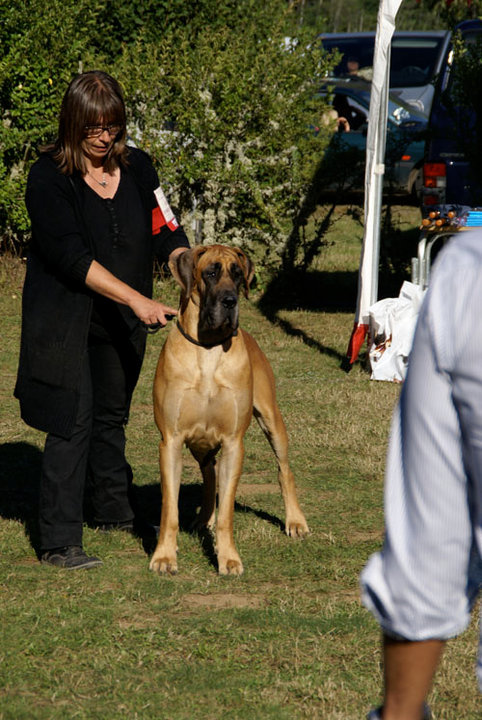 30 Elektra Neuvic 10.jpg 30 Elektra Neuvic 10.jpg